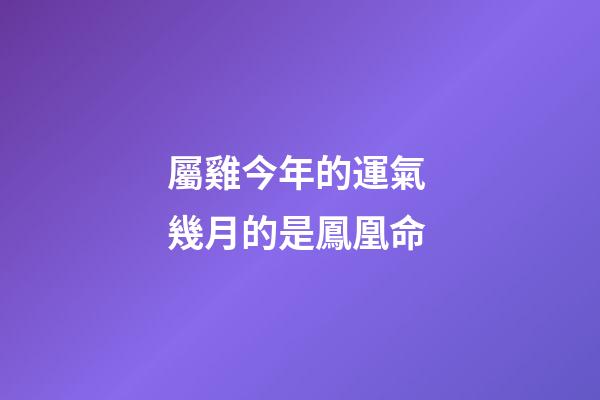 屬雞今年的運氣 幾月的是鳳凰命